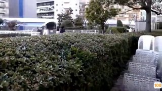 亚洲人毛XXXX⭕❌⭕❌农村妇女说闲话的图片