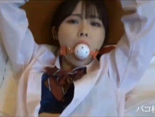 杨子珊性感⭕❌❌九色鹿的资料四年级